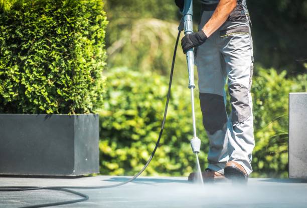 Best Building Exterior Washing  in Hayfield, MN