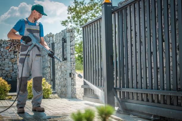 Best Driveway Pressure Washing  in Hayfield, MN