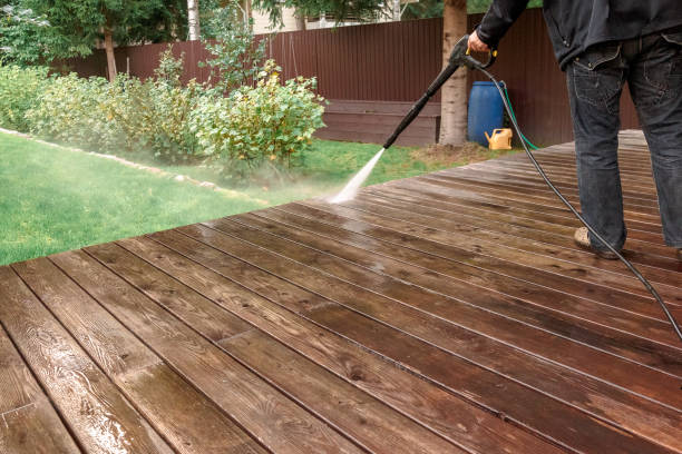 Best Warehouse Cleaning  in Hayfield, MN