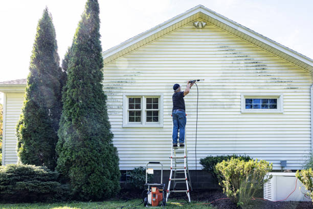 Best Gutter Cleaning  in Hayfield, MN