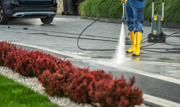 Best Driveway Pressure Washing  in Hayfield, MN