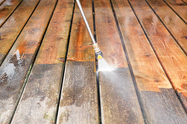 Best Dumpster Area Cleaning  in Hayfield, MN